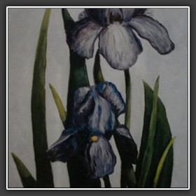 BLUE IRIS