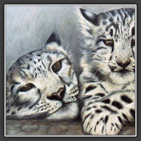 SNOW LEOPARDS