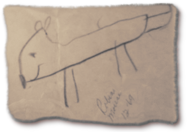 Drawing of Mouse at Age 1