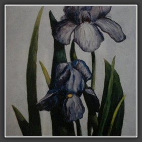 BLUE IRIS