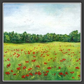 POPPY FIELD